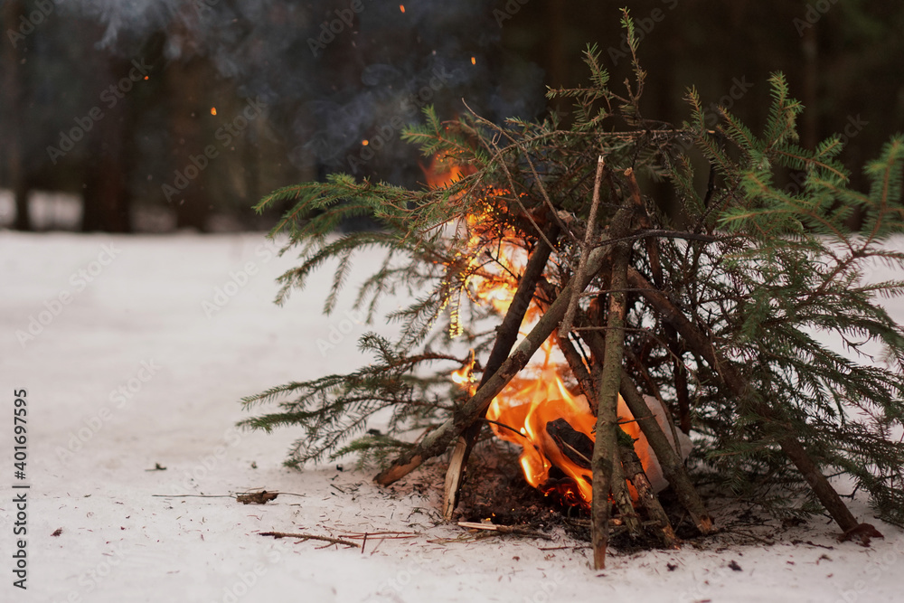 Bonfire of fir branches in the winter forest, survival in the cold and wildlife Bonfire of fir branches in the winter forest, survival in the cold and wildlife
