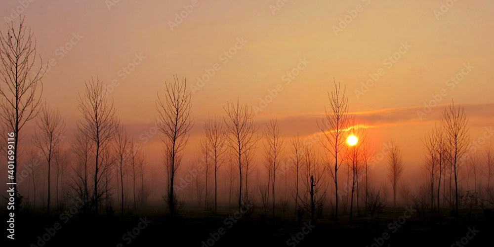 Paesaggio invernale in campagna all'alba ed al tramonto Paesaggio invernale in campagna all'alba ed al tramonto