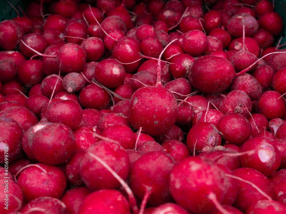radish in the supermarket, on the counter radish in the supermarket, on the counter