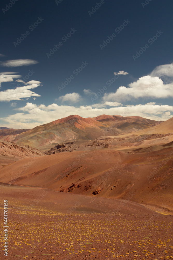 Unique arid landscape very high in the Andes cordillera. Beautiful view of the brown land, yellow grasses, valley and colorful mountains in Laguna Brava, La Rioja, Argentina.
