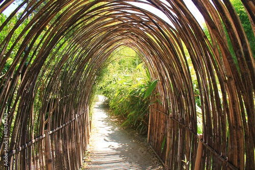 The famous Prafrance bamboo garden, a wonderful exotic garden at Anduze, France
 photo