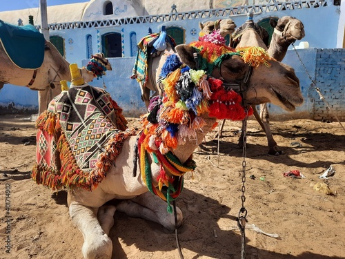 The Nile River, the Nubian Museum, the Nile museum, the temple of Isis from Philae and Nubian village at Aswan, Egypt