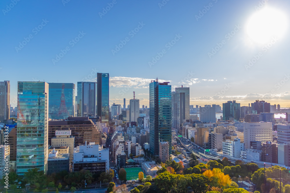 Obraz premium 東京のビル群と朝日