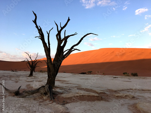 Unique desert landscape in Sossusvlei, Namibia