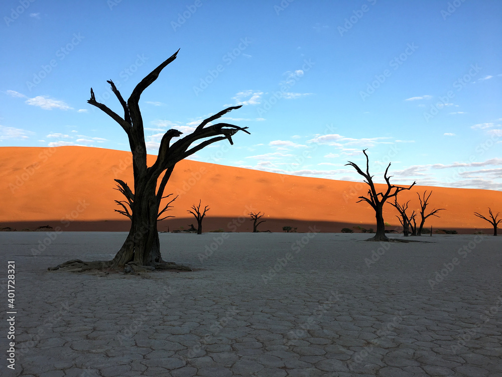 Unique desert landscape in Sossusvlei, Namibia Unique desert landscape in Sossusvlei, Namibia