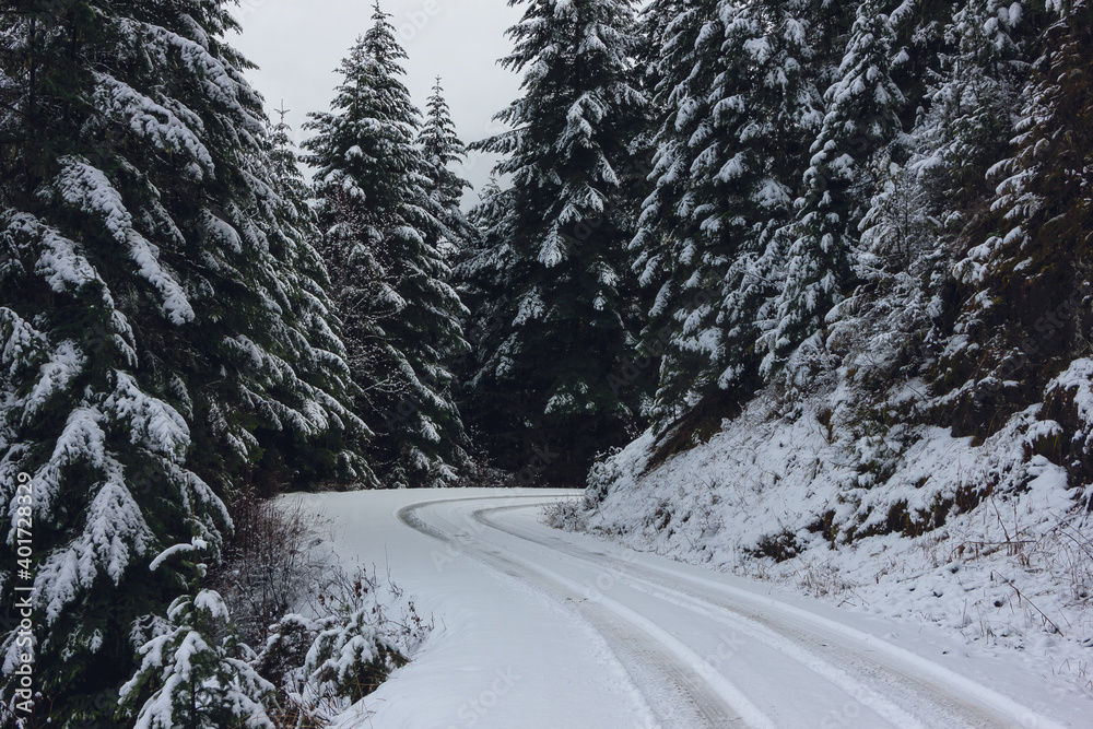 winter road winter road