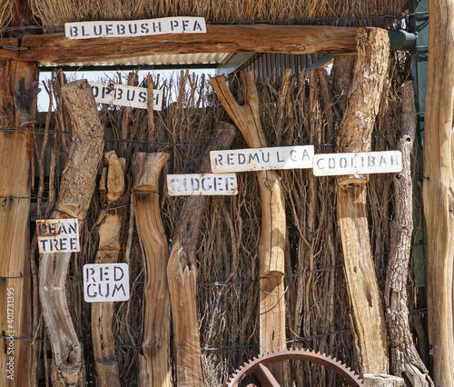 Different types of timbers found in outback western Queensland photo