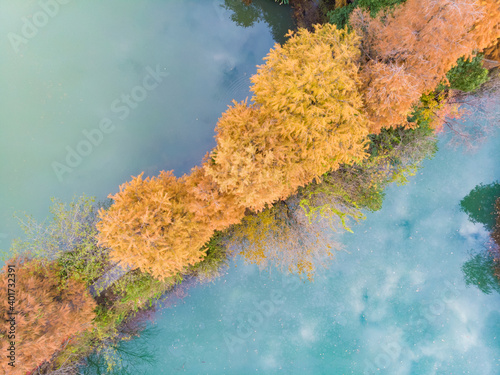 Hubei Wuhan East Lake Scenic Area Late Autumn Aerial Photography Scenery