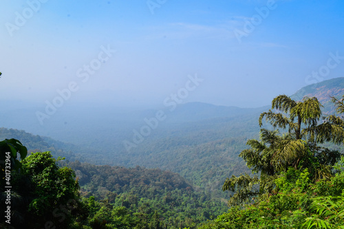 A cinematic view of hills having blue sky and green leaves in the focus