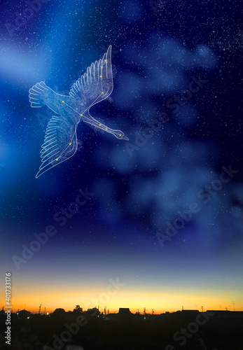 白鳥座 © MANPUKU