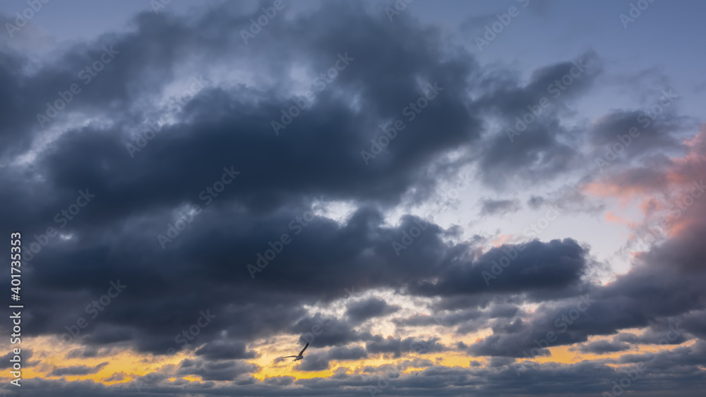 Evening sky, full screen. Blue and pink cumulus clouds. Against the background of yellow illumination, the silhouette of a flying bird.