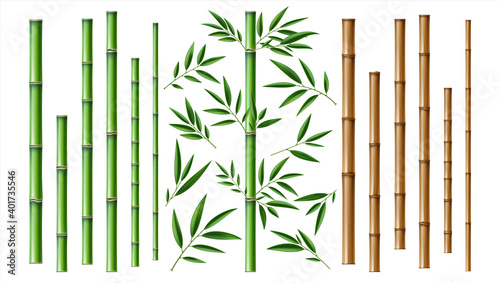 Canvas Print Realistic bamboo stick