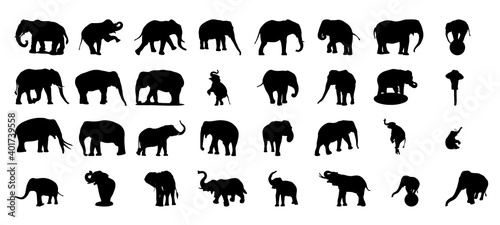 Photography A set of silhouettes of elephants isolated on white background