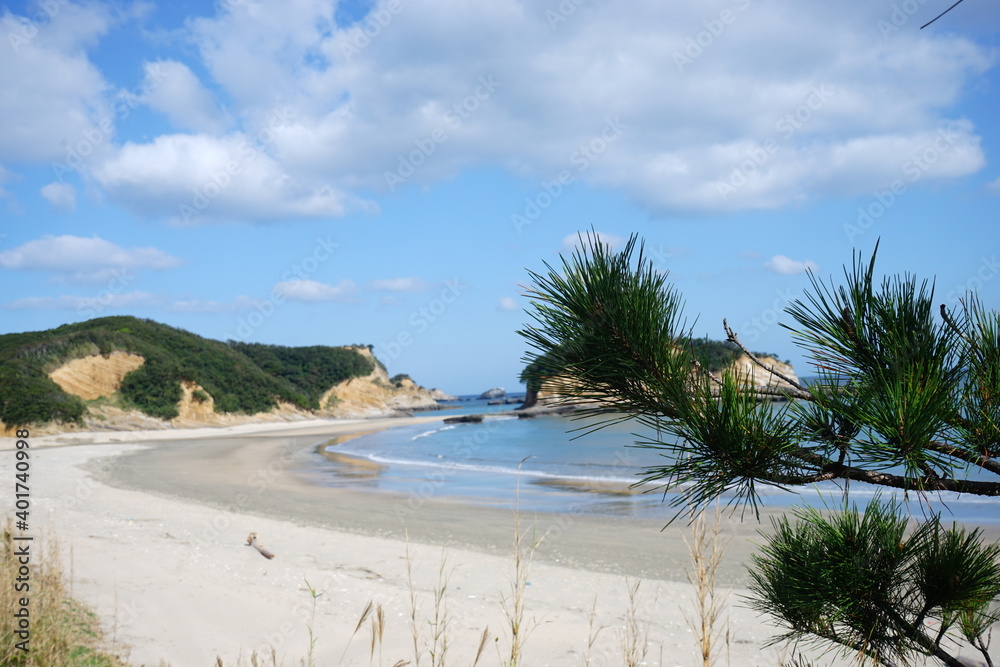 Hamada Beach with closeup pine tree view in Tanegashima island, Kagoshima, Japan - 鹿児島 種子島 浜田海水浴場