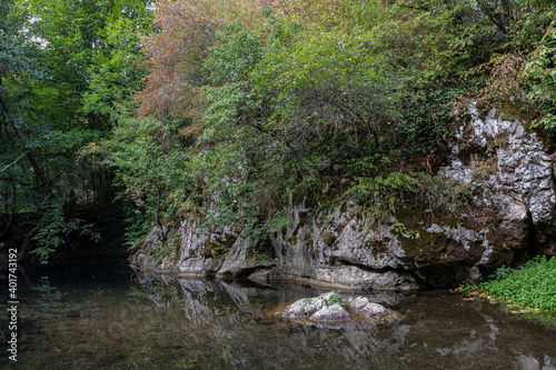 Small lake with rocks in a forest