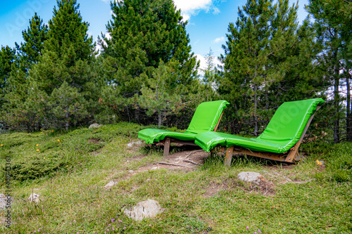 Zwei gemütliche Waldsofas