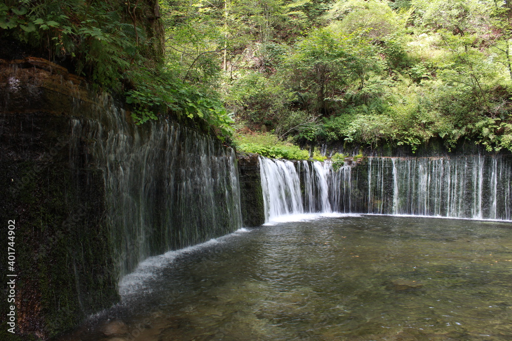 白糸の滝　長野県北軽井沢。　川の水が流れ落ちるのでなく、湧水が岩からしみ出て何本もの糸のような滝となり、独特の景観となる。
