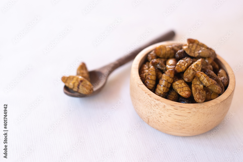 silkworm pupa in wooden spoon and wooden bow as edible insects on white background, high protein insect silkworm pupa in wooden spoon and wooden bow as edible insects on white background, high protein insect