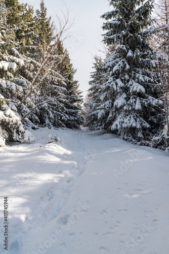 Winter mountain scenery with snow covered hiking trail and trees photo