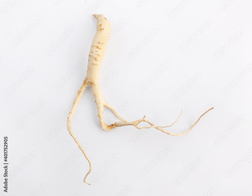 Obraz premium bellflower (Platycodon grandiflorus) isolated on white background