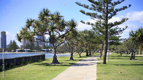 Walkway at Broadwater Park, Southport, Gold Coast, Queensland, Australia  photo