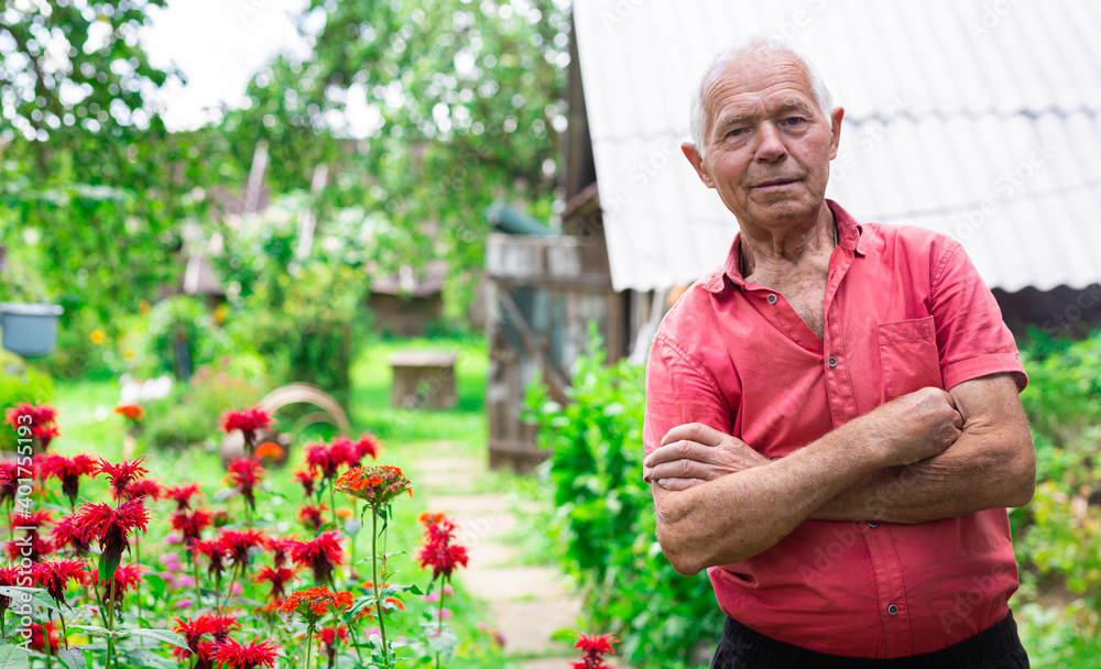 retired man posing next to a flower bed on a personal plot in a village in summer retired man posing next to a flower bed on a personal plot in a village in summer