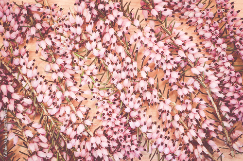 A high angle shotof pink heathers on a wooden table photo