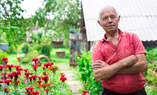 retired man posing next to a flower bed on a personal plot in a village in summer