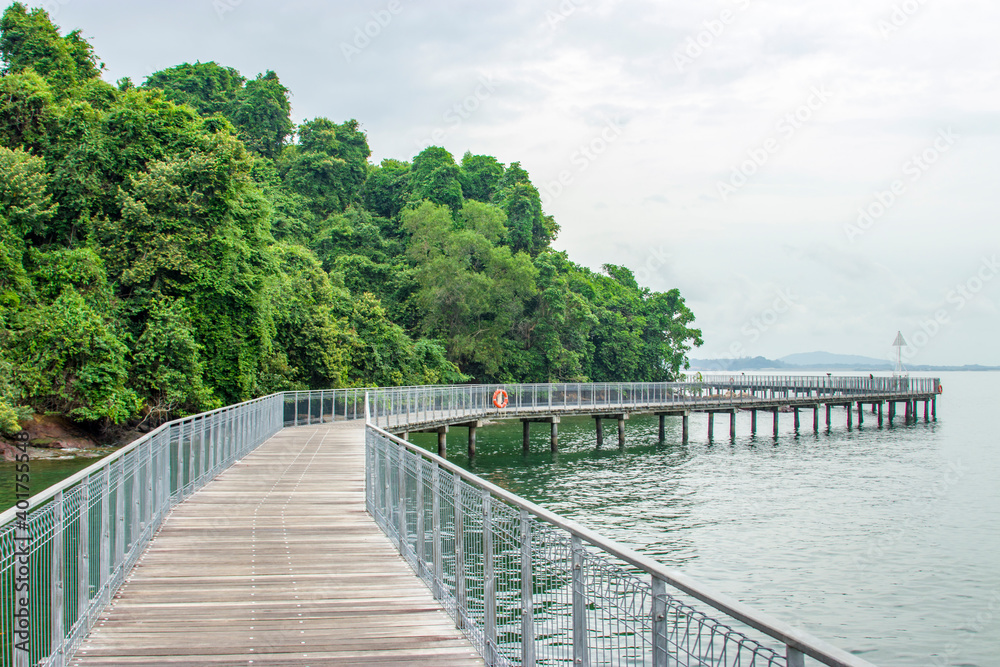 Fototapeta premium the boardwalk, rock beach and red mangrove in Chek Jawa wetland. It is a cape and the name of its 100-hectare wetlands located on the south-eastern tip of Pulau Ubin island Singapore. 