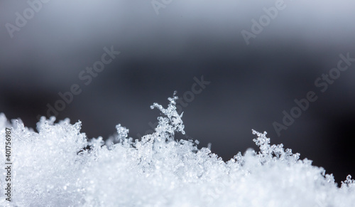 winter card, crystals of snow, winter photo © vadim_fl