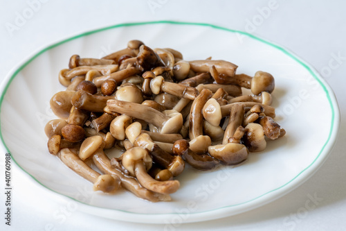 salted juicy mushrooms, in a white saucer on a sheet of paper, close-up