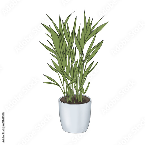 Plant In A Flower Pot Isolated On A White Background Hand Drawn Illustration	
