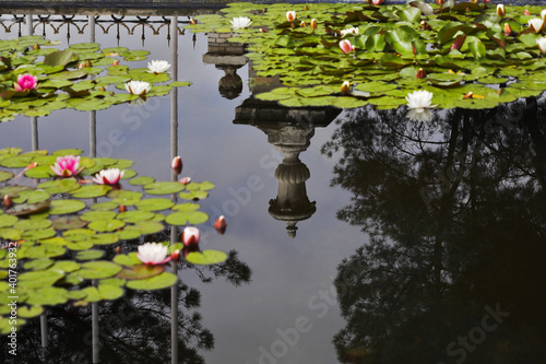 The vase reflected in water of a pond
