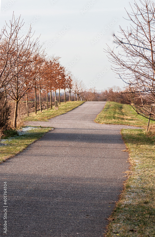 Winter running trail in Czech Republic.