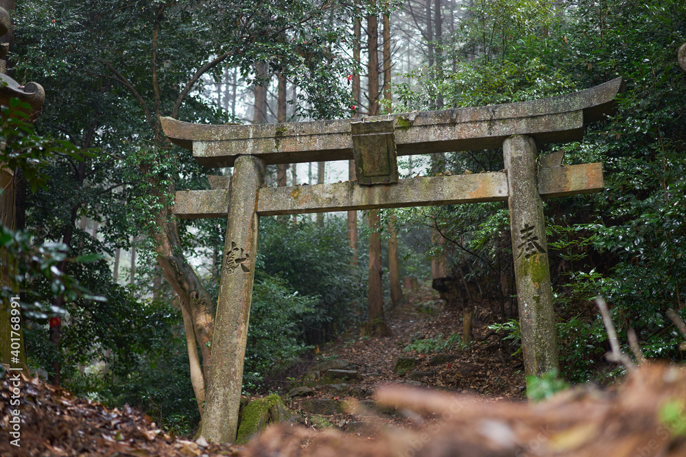 森の中にある日本の神社の鳥居