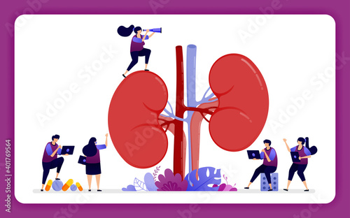 design illustration for kidney disease and treatment. anatomy of the kidney for medical, props and health education. Design can use for website, web, landing page, banner, mobile apps, ui ux, poster