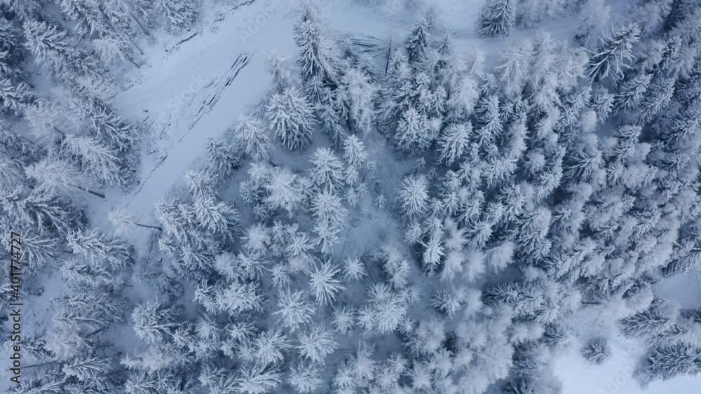 Drone flying topshot over a frozen forest in the middle of the french alps Drone flying topshot over a frozen forest in the middle of the french alps