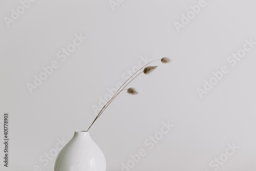 Modern white ceramic vase with dry Lagurus ovatus grass. Scandinavian minimal interior decor with bunny tail grass. Empty white wall, copy space.