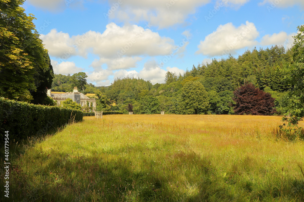 Fototapeta premium Golden wheat beneath the gaze of Restormel manor