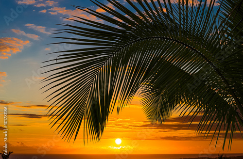 Sunset sur plage aux cocotiers