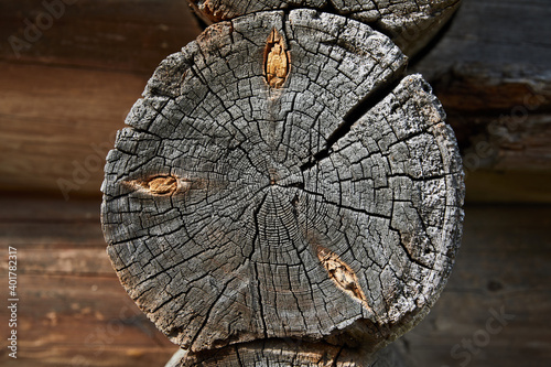 Wood texture, wooden background. Old wooden circle logs with cracks and scratches