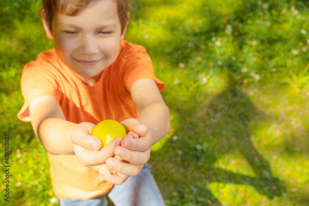 Easter yellow colored egg in boys hand in blooming spring garden. Preschooler boy plays outdoors, he is Easter egg hunt alone. Copy space. Easter yellow colored egg in boys hand in blooming spring garden. Preschooler boy plays outdoors, he is Easter egg hunt alone. Copy space.