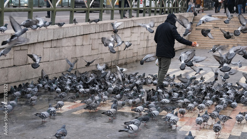 man feeds the pigeons with food