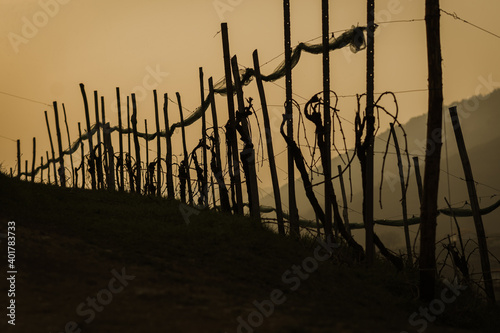 Valdobbiadene, Italy, the way of the Prosecco wine. Unesco world heritage