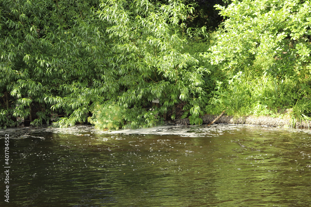 Clear waters of a Cornish stream showing the muddy brown stones underneath Clear waters of a Cornish stream showing the muddy brown stones underneath