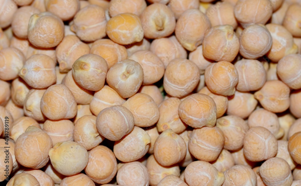 Raw ripe harvest chickpea symbol of fertility and wealth lies on the kitchen table, an ingredient of many dishes