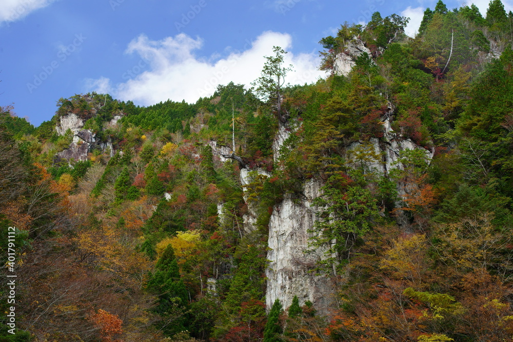 下北山村の紅葉（奈良県　吉野郡　下北山村　国道425号線　白谷トンネル付近） autumn colour of leaves,Simokitayama-mura