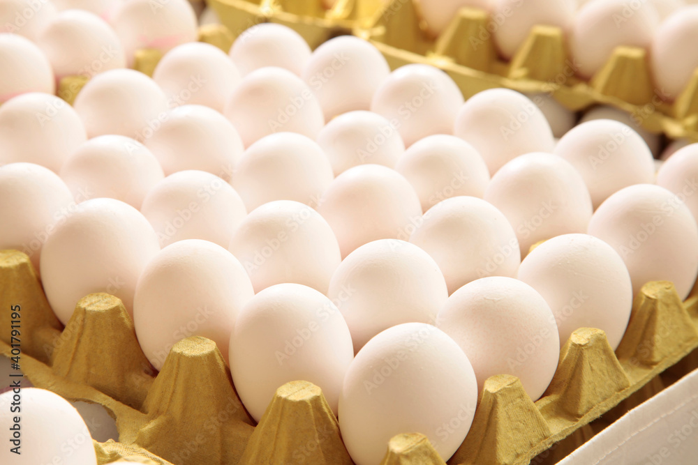Fototapeta premium Fresh eggs in the egg factory. Egg factory industry.