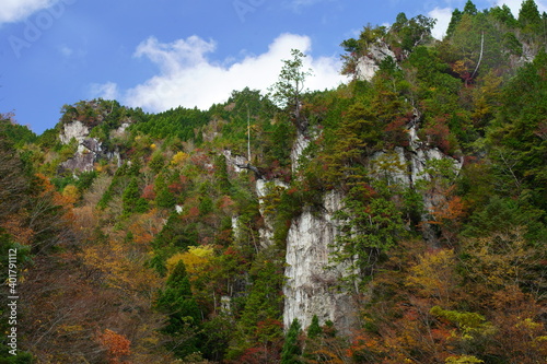 下北山村の紅葉（奈良県 吉野郡 下北山村 国道425号線 白谷トンネル付近） autumn colour of leaves,Simokitayama-mura