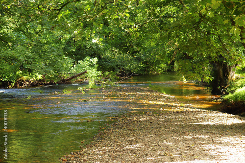 Clear waters of a Cornish stream showing the muddy brown stones underneath